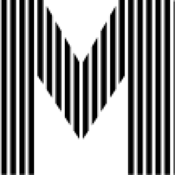 Lifetime Movies Network